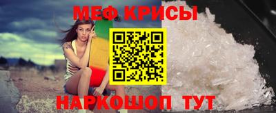 гашик Кингисепп