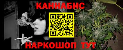 гашик Кингисепп
