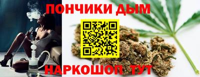 гашик Кингисепп