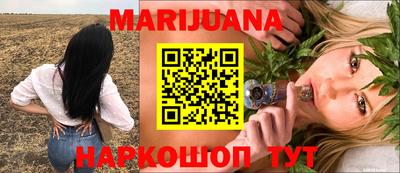 гашик Кингисепп