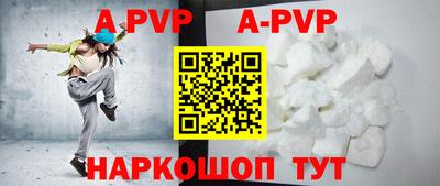 гашик Кингисепп