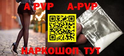 гашик Кингисепп